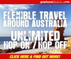 Greyhound Australia