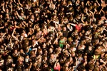 Summer Music Festivals