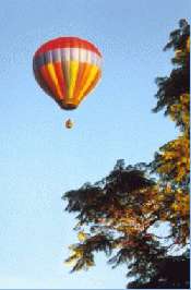 Backpackers Paradise Activities