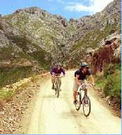Backpackers Paradise Activities