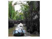 A Huy Chuong (former Huong Viet hostel) Activities