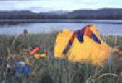 Alaska Island Hostel Activities