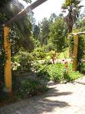 Finca San Pedro Facilities