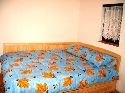 Strajarska house Facilities