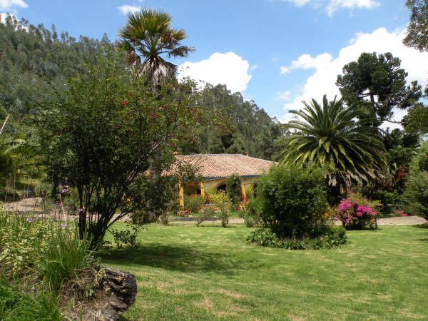 Finca San Pedro