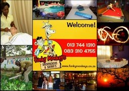 Funky Monkeys Backpackers